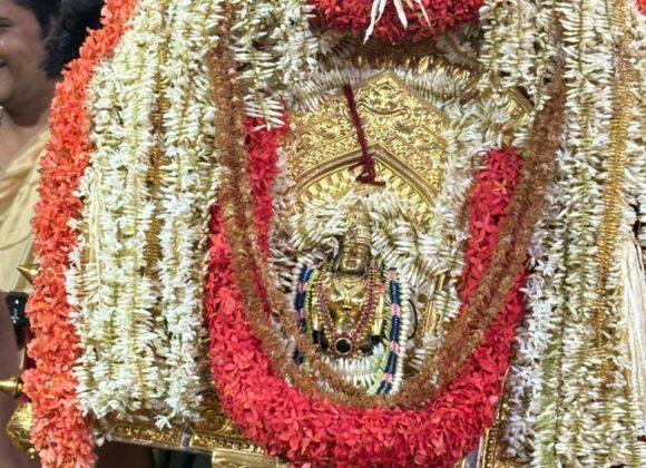 ಸರ್ವಾಲಂಕಾರಭೂಷಿತಳಾಗಿ ತೇರನೇರಲು ಹೊರಟ ಮುಂಡ್ಕೂರ ಜಗನ್ಮಾತೆ ಸರ್ವಾಲಂಕಾರಭೂಷಿತಳಾಗಿ ತೇರನೇರಲು ಹೊರಟ ಮುಂಡ್ಕೂರ ಜಗನ್ಮಾತೆ