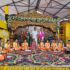 Today’s Cultural Program
